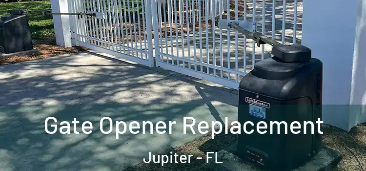 Gate Opener Replacement Jupiter - FL