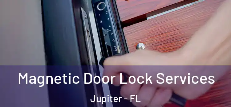 Magnetic Door Lock Services Jupiter - FL