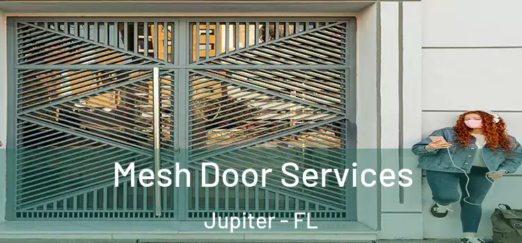 Mesh Door Services Jupiter - FL